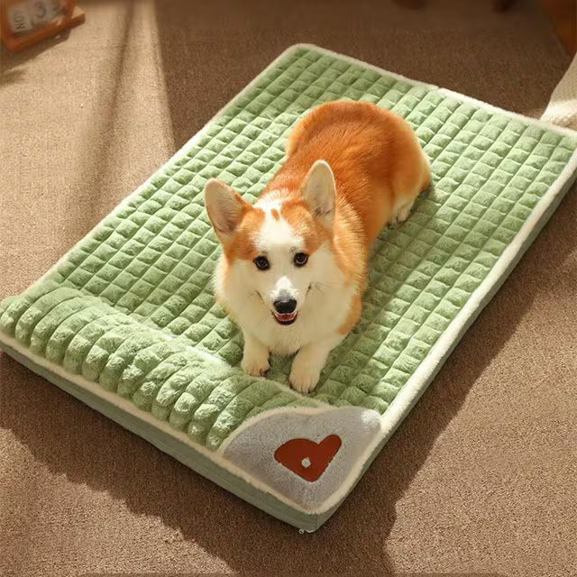 Green warm Dog Bed Mat with Pillow