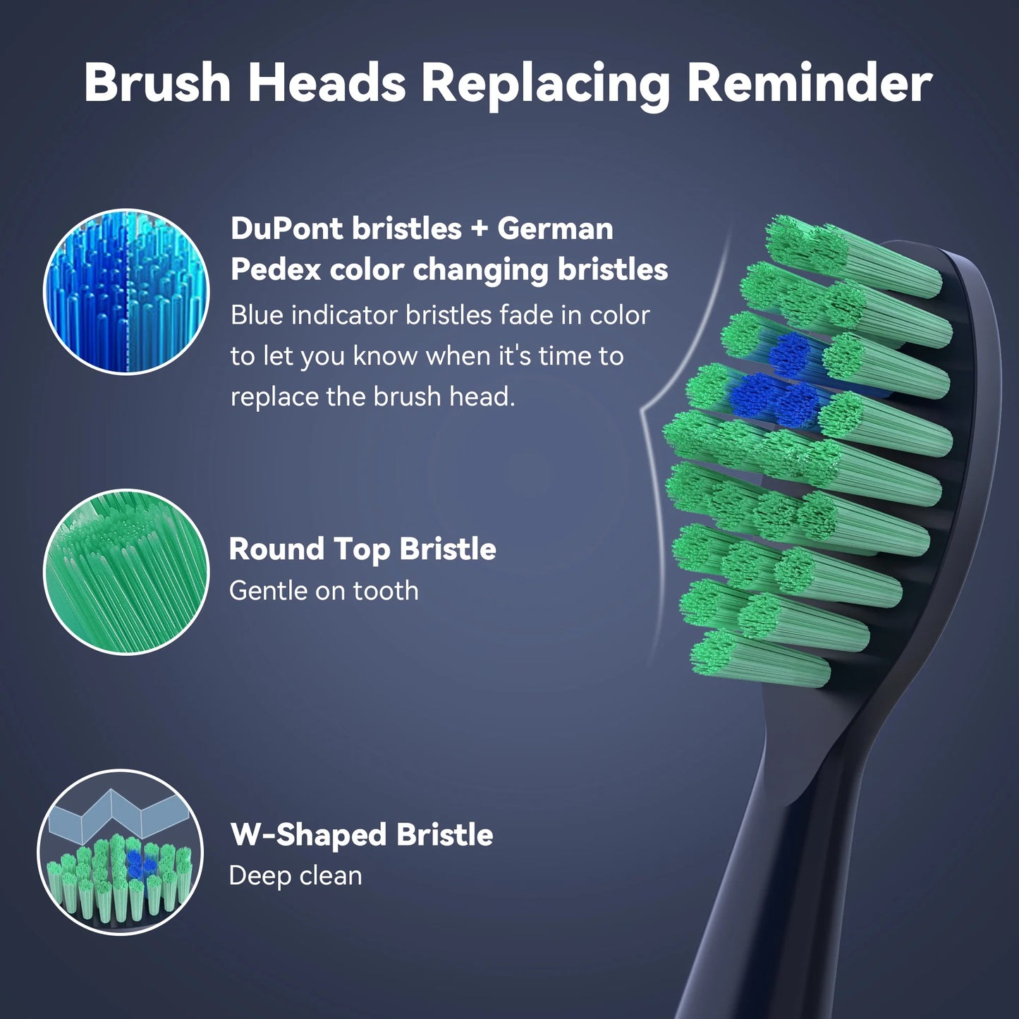 Sejoy Sonic Electric Toothbrush with 8 Brush Heads, Rechargeable Electric Tooth Brush for Adults and Kids,High Power, 5 Modes,Smart Timer for Home Travel, Gift,Navy