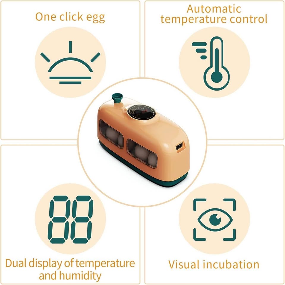 自动孵蛋器，数字孵蛋器，带湿度控制和LED指示灯的孵蛋器，适用于孵化鸡、鸭、鹌鹑、鸟蛋