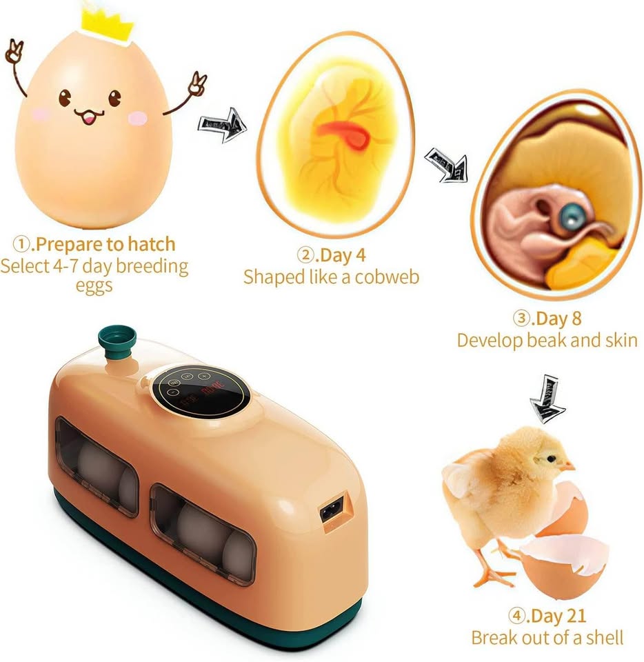 自动孵蛋器，数字孵蛋器，带湿度控制和LED指示灯的孵蛋器，适用于孵化鸡、鸭、鹌鹑、鸟蛋