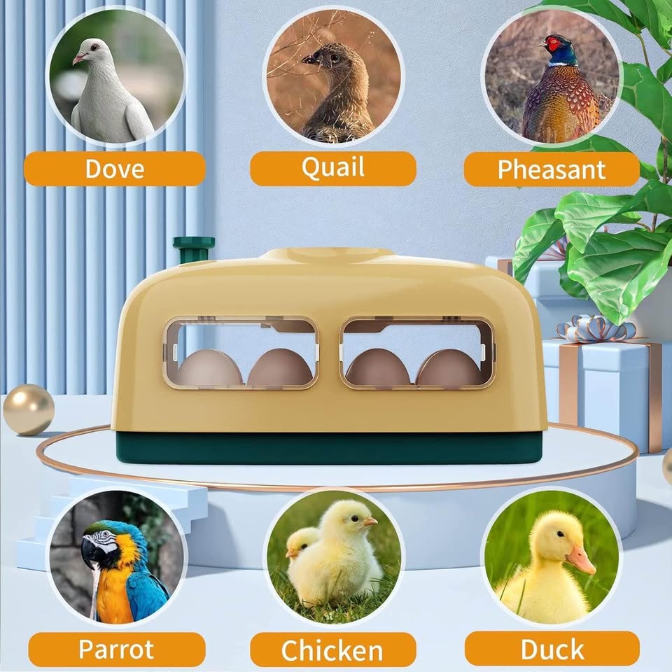 自动孵蛋器，数字孵蛋器，带湿度控制和LED指示灯的孵蛋器，适用于孵化鸡、鸭、鹌鹑、鸟蛋