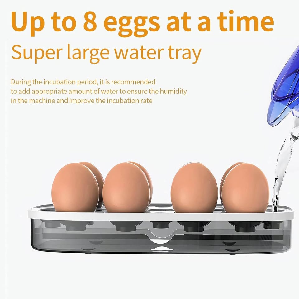 自动孵蛋器，数字孵蛋器，带湿度控制和LED指示灯的孵蛋器，适用于孵化鸡、鸭、鹌鹑、鸟蛋