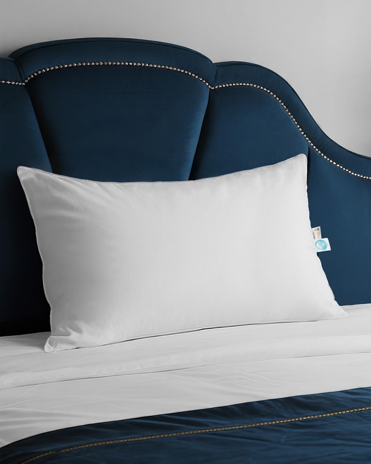 Goose Down Pillow for Sleeping, Hotel Collection 750 Fill Power Standard Pillow with Pillowcase, Luxury Bed Pillow for Back, Side & Stomach Sleepers, 1 Pack, 20 x 26 Inch