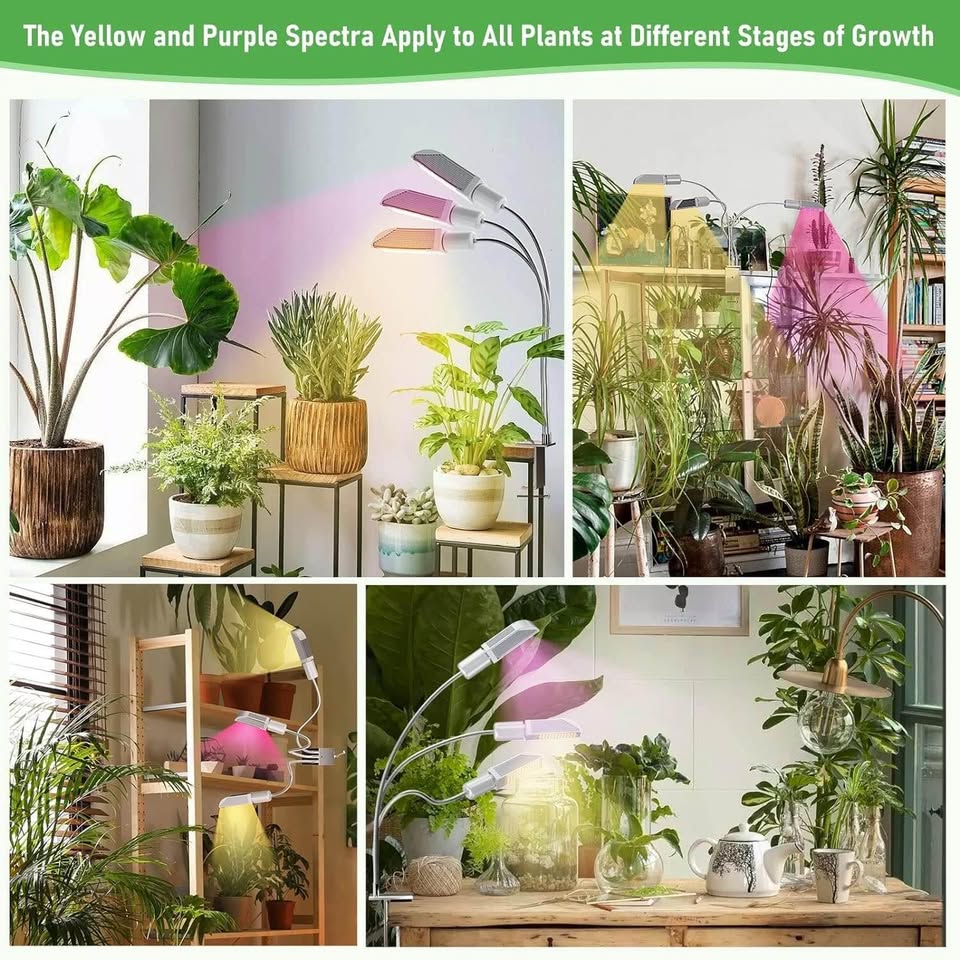 Grow Lights for Indoor Plants,3-Head Full Spectrum led Plant Grow Light,3/6/9/12H Intelligent Timer,