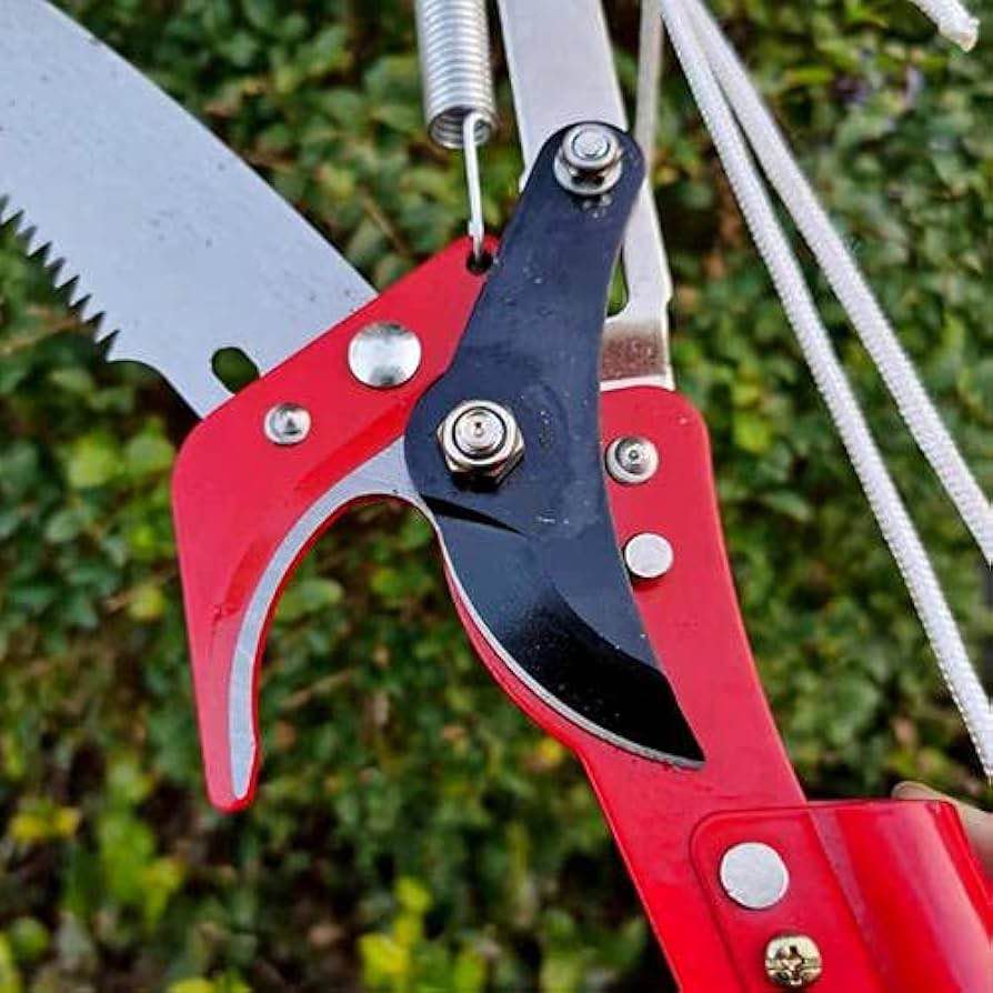 High Branch Tree Pruner with Saw Blade and Clipper
