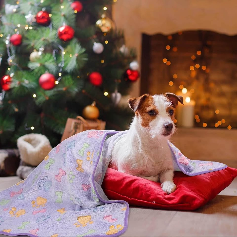 Dono 1 Pack 3 Dog Blankets Soft Fluffy Paw Print Pattern Fleece Pet Blanket Warm Sleep Mat