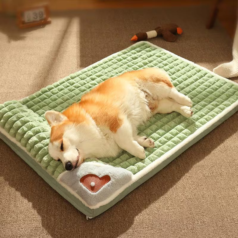 Green warm Dog Bed Mat with Pillow
